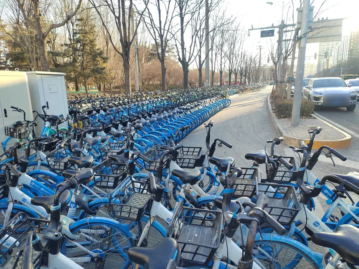 大量のシェア自転車が並ぶ駐輪エリア。返却は駐輪禁止エリア以外ならどこでもよい